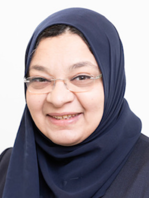 Dr Dina Elsayed